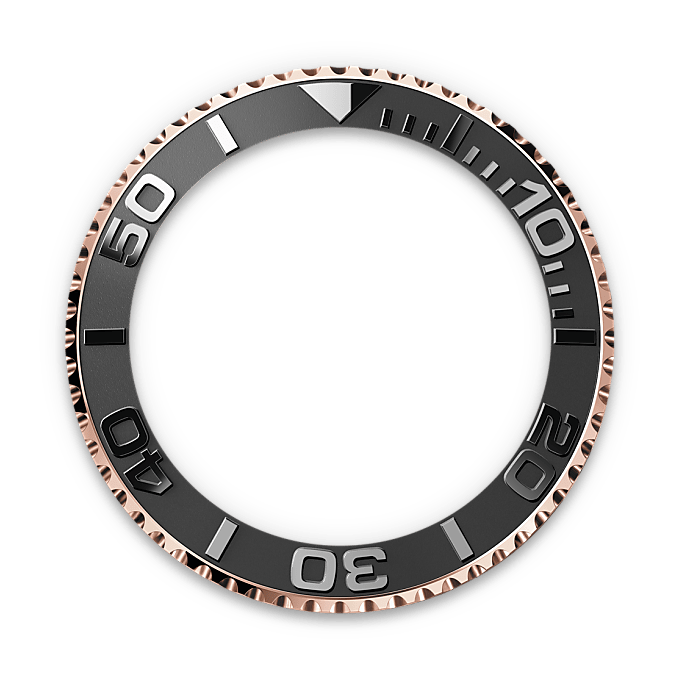 In beide Richtungen drehbare Lünette