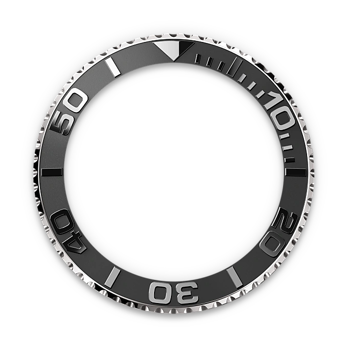 In beide Richtungen drehbare Lünette